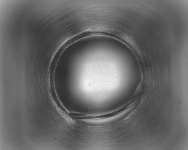X0000063490976200601201305