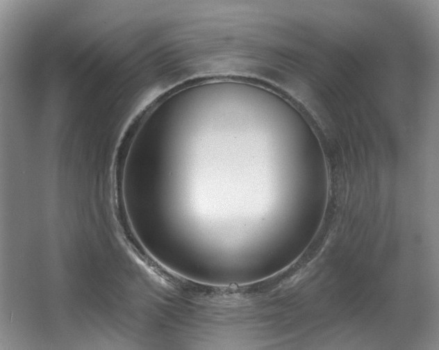 X0000063490982200601201305