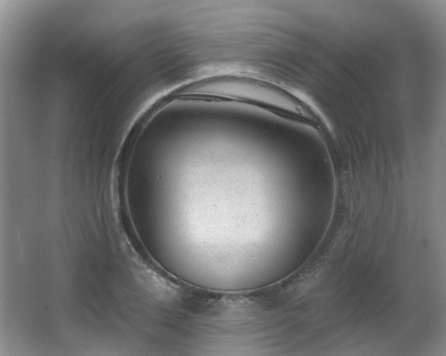 X0000063490983200601201305