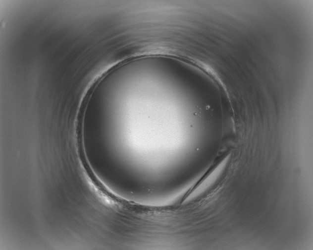 X0000063490995200601201305