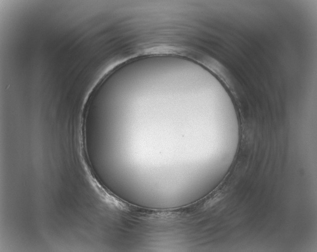 X0000063491000200601201304