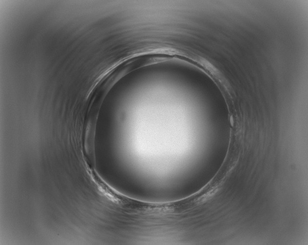 X0000063491001200601201304