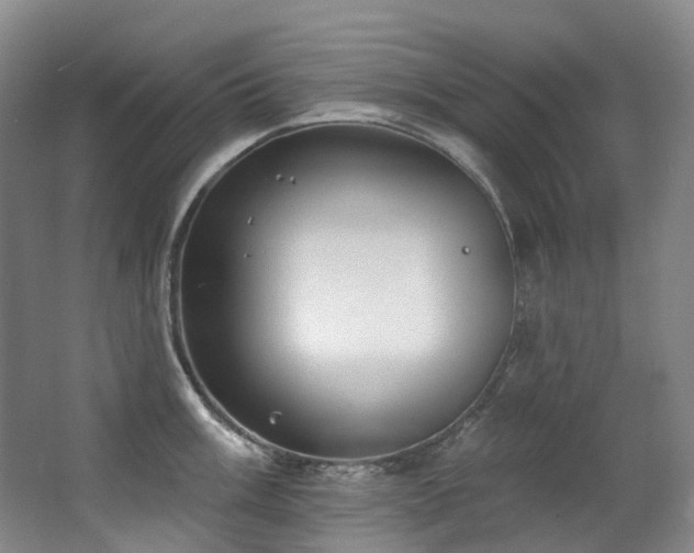 X0000063491003200601201304