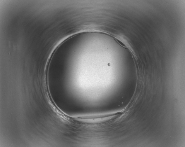 X0000063491004200601201304