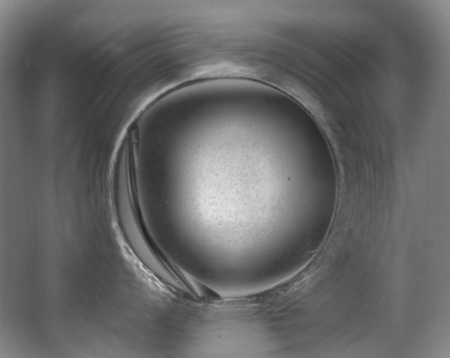 X0000063491008200601201304