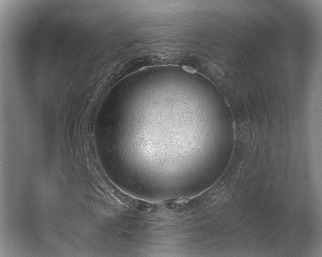 X0000063491009200601201304