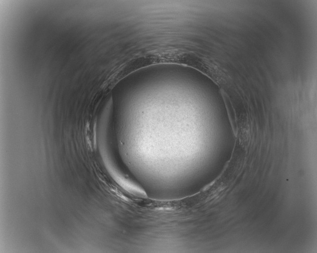 X0000063491010200601201304