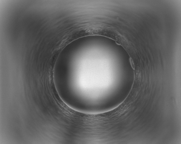 X0000063491012200601201304