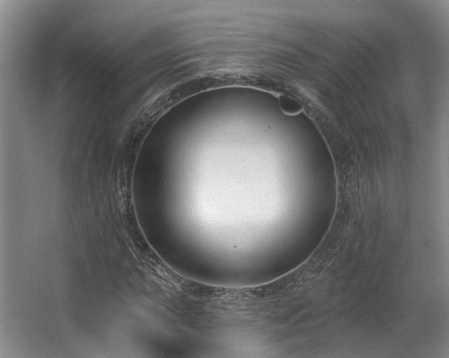 X0000063491015200601201304