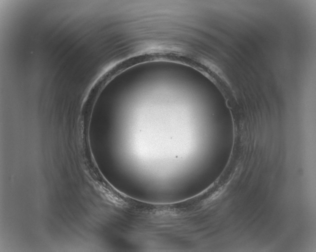 X0000063491021200601201304
