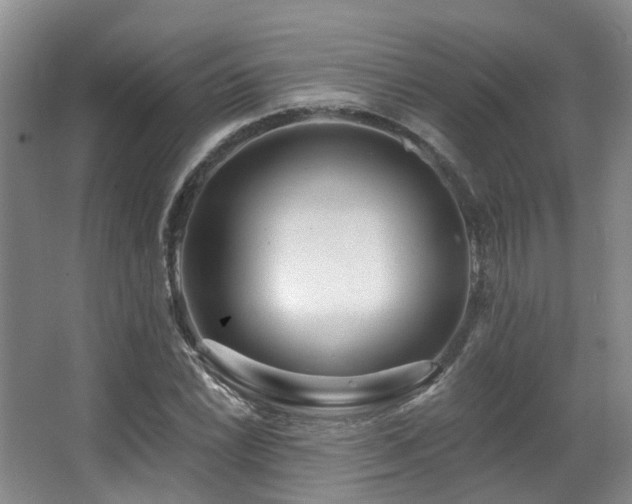 X0000063491022200601201304