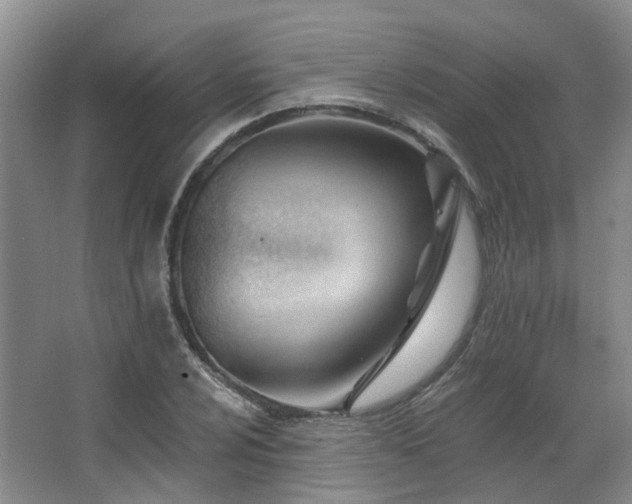 X0000063491024200601201304