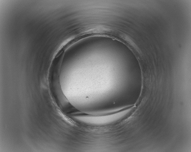 X0000063491026200601201304