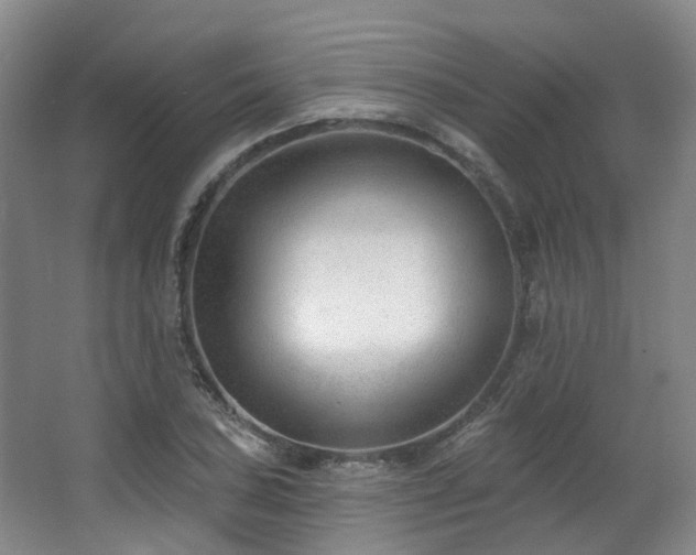 X0000063491027200601201304