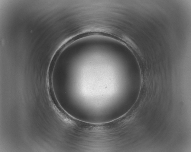 X0000063491028200601201304