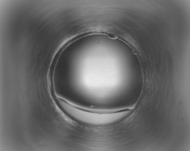 X0000063491032200601201304