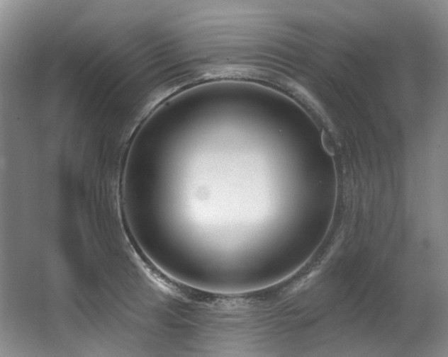 X0000063491041200601201304