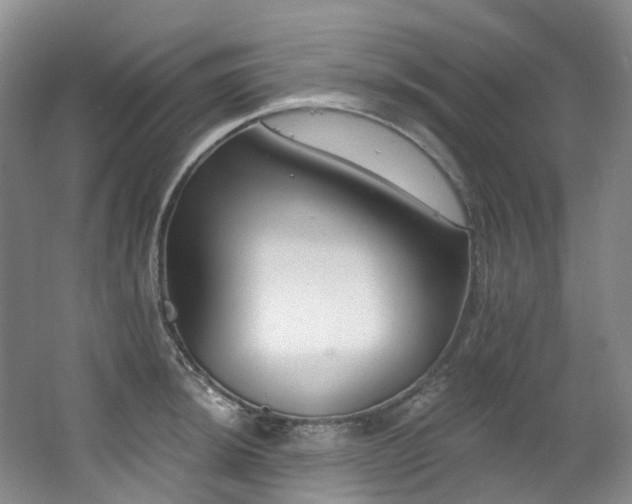 X0000063491044200601201304