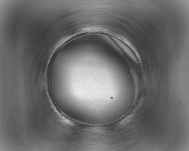 X0000063491045200601201304