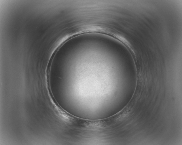 X0000063491047200601201304