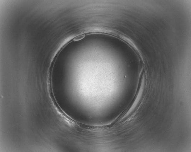 X0000063491048200601201304