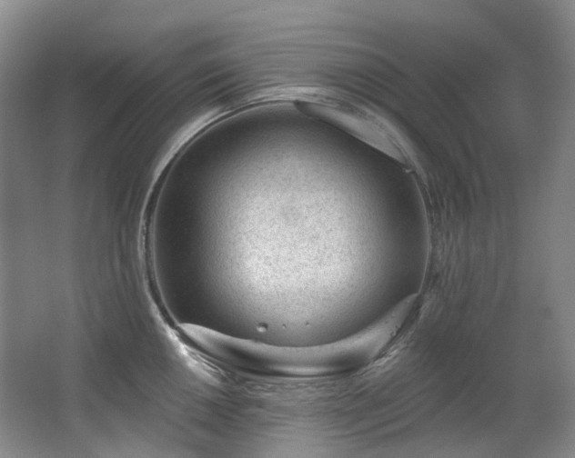 X0000063491050200601201304