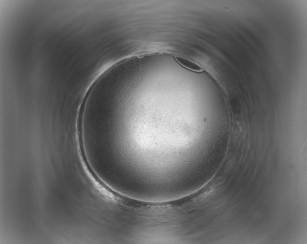 X0000063491055200601201304