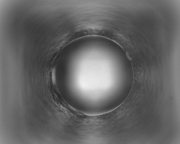 X0000063491061200601201303