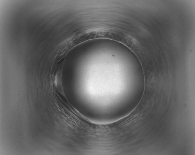 X0000063491062200601201303