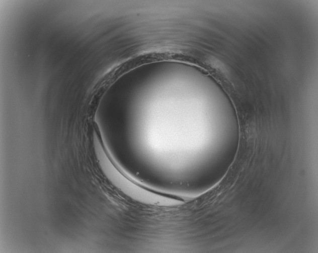 X0000063491064200601201303