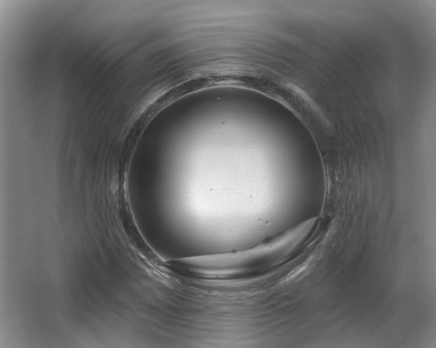 X0000063491065200601201303