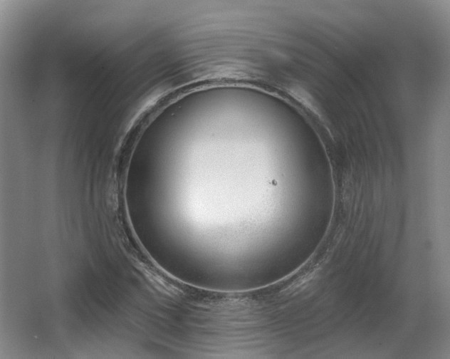 X0000063491067200601201303