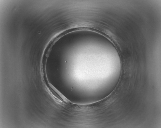 X0000063491072200601201303