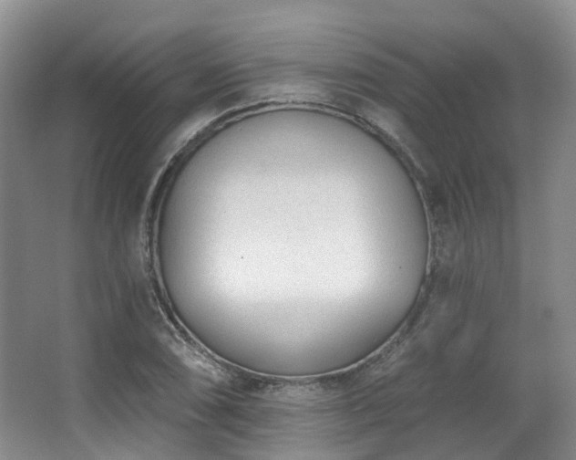 X0000063491074200601201303