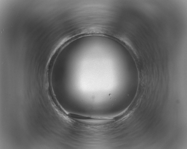 X0000063491075200601201303