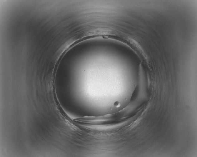 X0000063491081200601201303