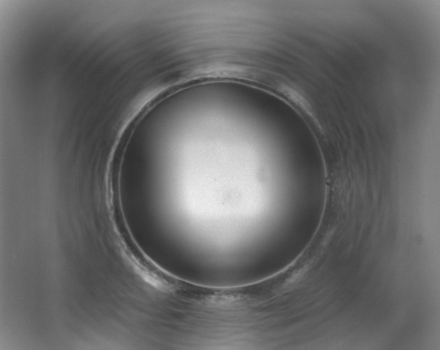 X0000063491082200601201303