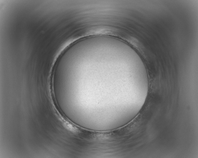 X0000063491086200601201303