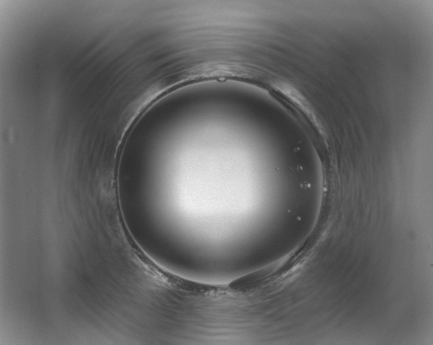 X0000063491089200601201303
