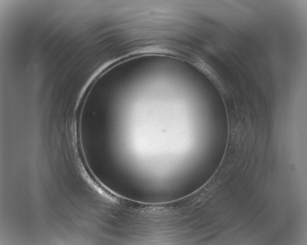 X0000063491092200601201303