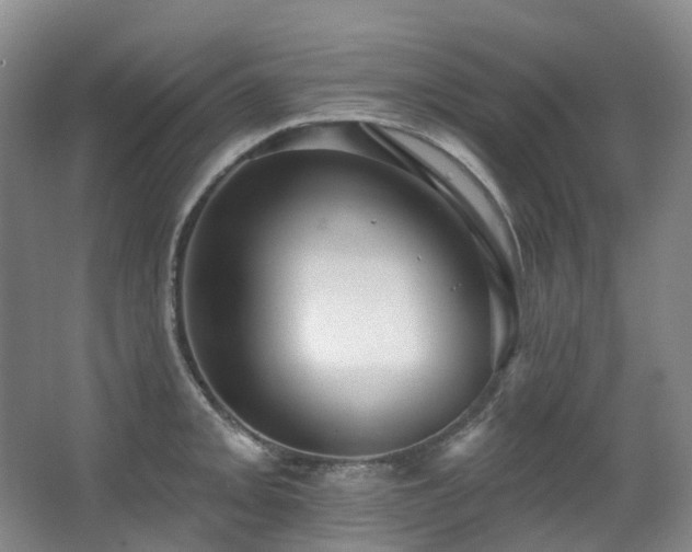 X0000063491093200601201303