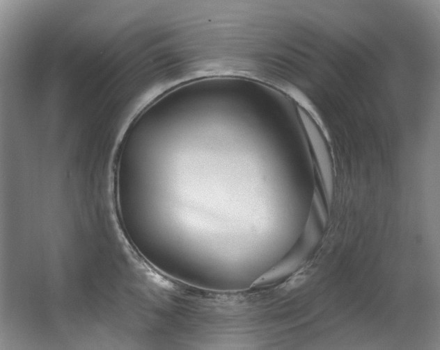 X0000063491096200601201303