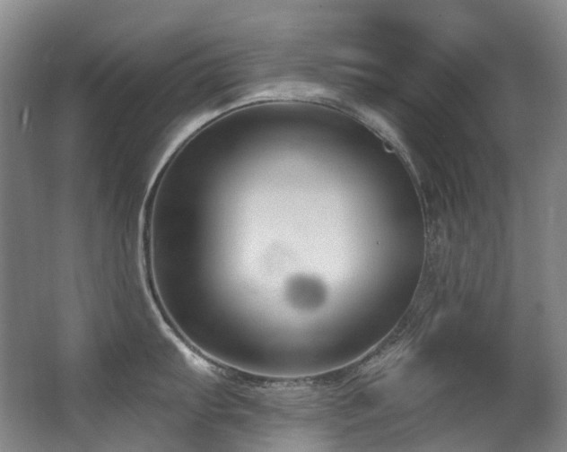 X0000063491103200601201303