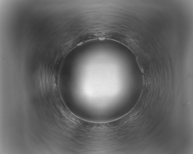 X0000063491106200601201302