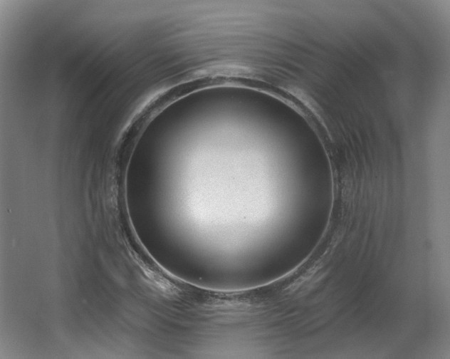 X0000063491115200601201302