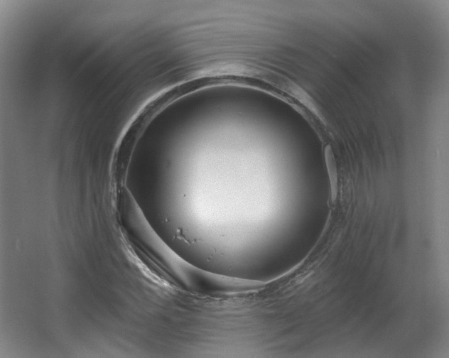 X0000063491116200601201302