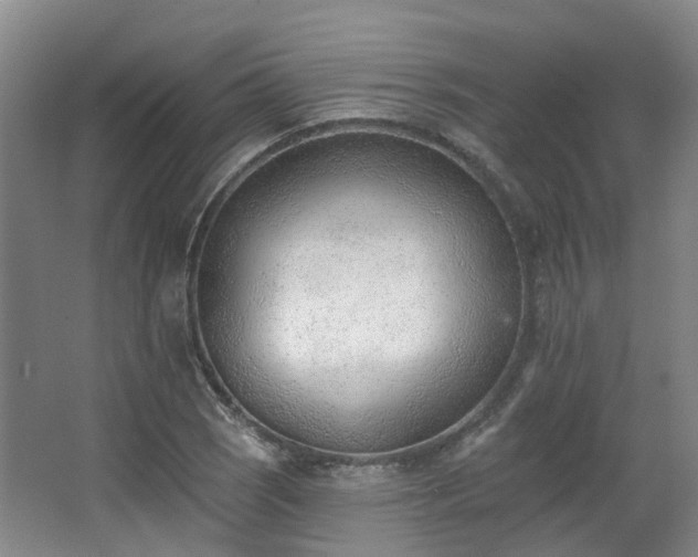 X0000063491121200601201302