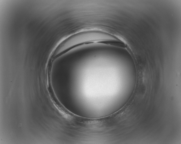 X0000063491127200601201302