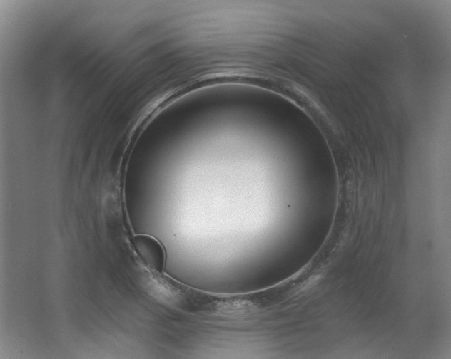 X0000063491129200601201302