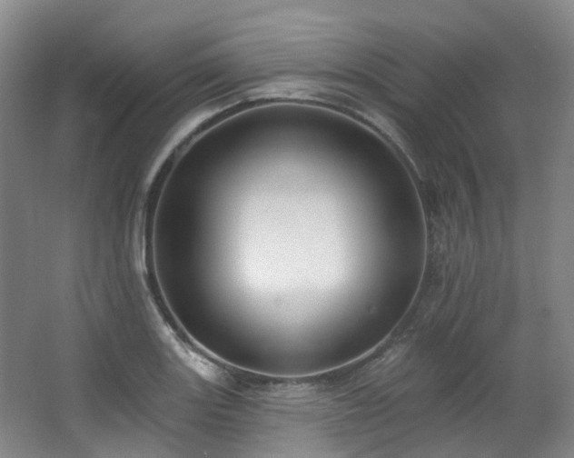 X0000063491131200601201302